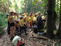 Zaver sifrovaci hry Zluta vitezove.jpg